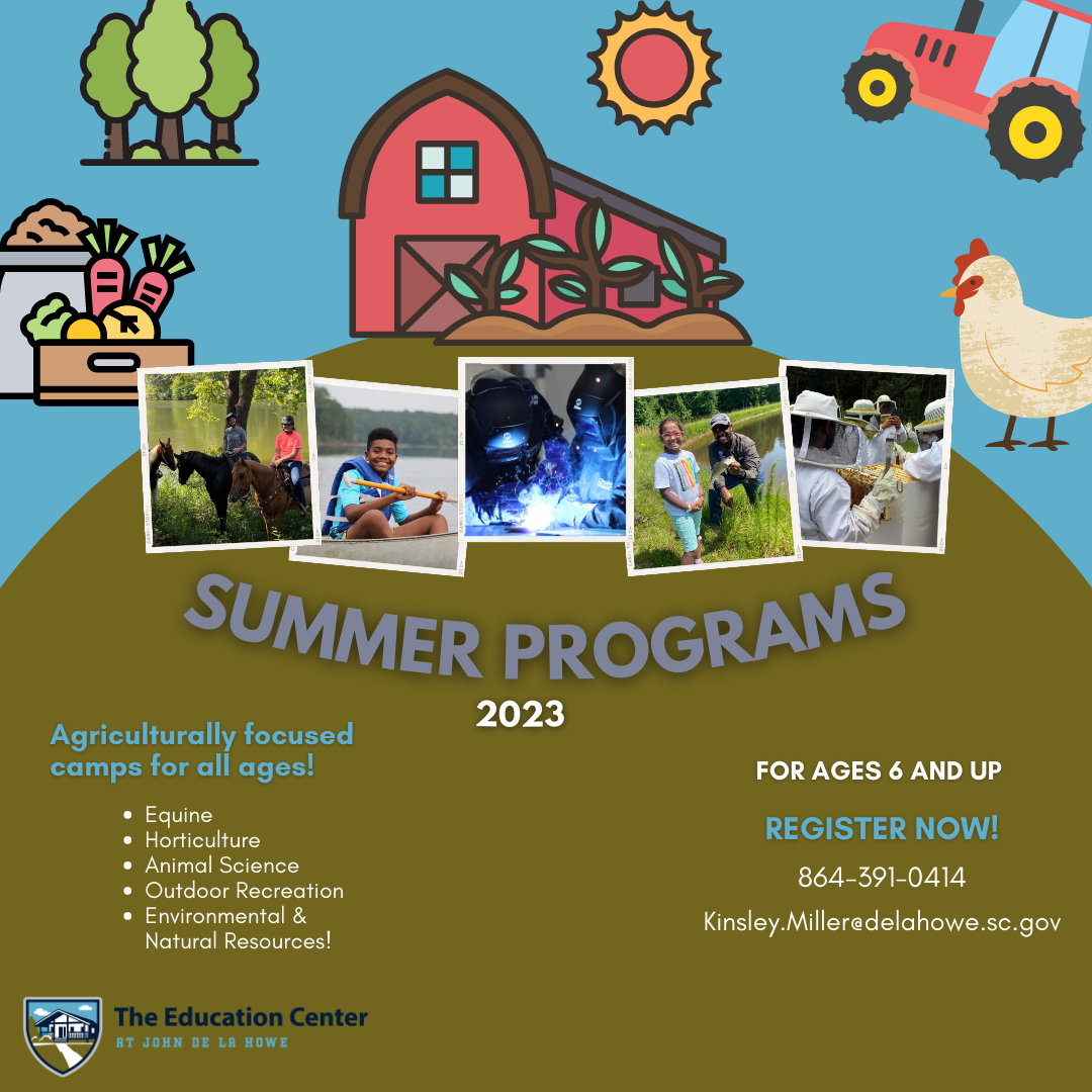 Summer Camp Flyer 