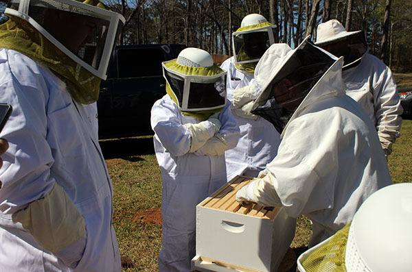 Students prepare the hives for the bees to begin making honey
