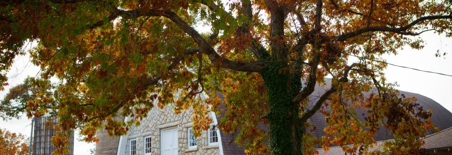 Dairy Barn in Fall