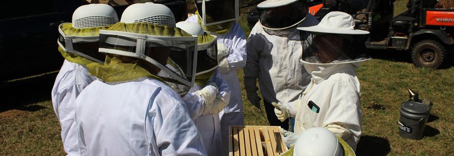 Susan Jones instructs our students in the finer points of beekeeping.