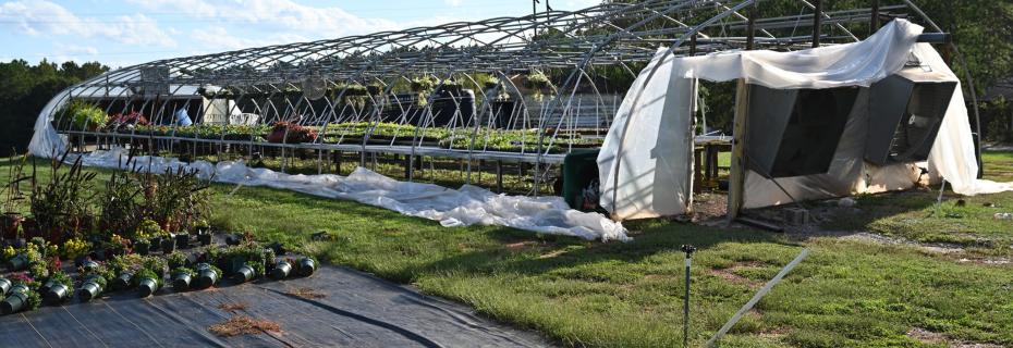 Greenhouse damage